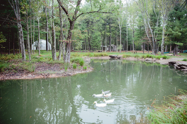 Pond